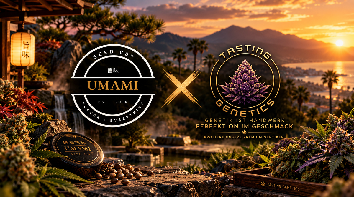 Umami Seed Co. – Flavor > Everything 🌱