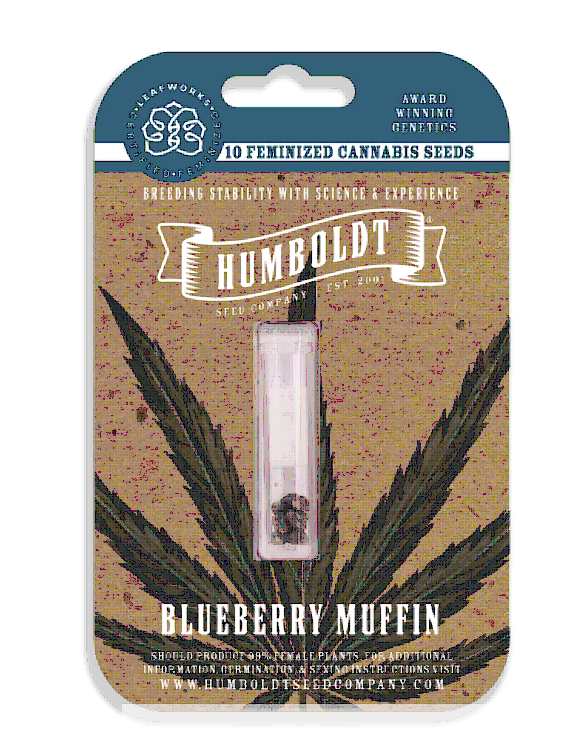 Blueberry Muffin Feminized – Humboldt Seed Company