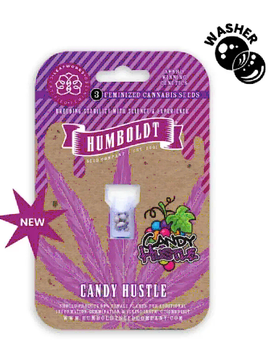 Candy Hustle Feminized – Humboldt Seed Company