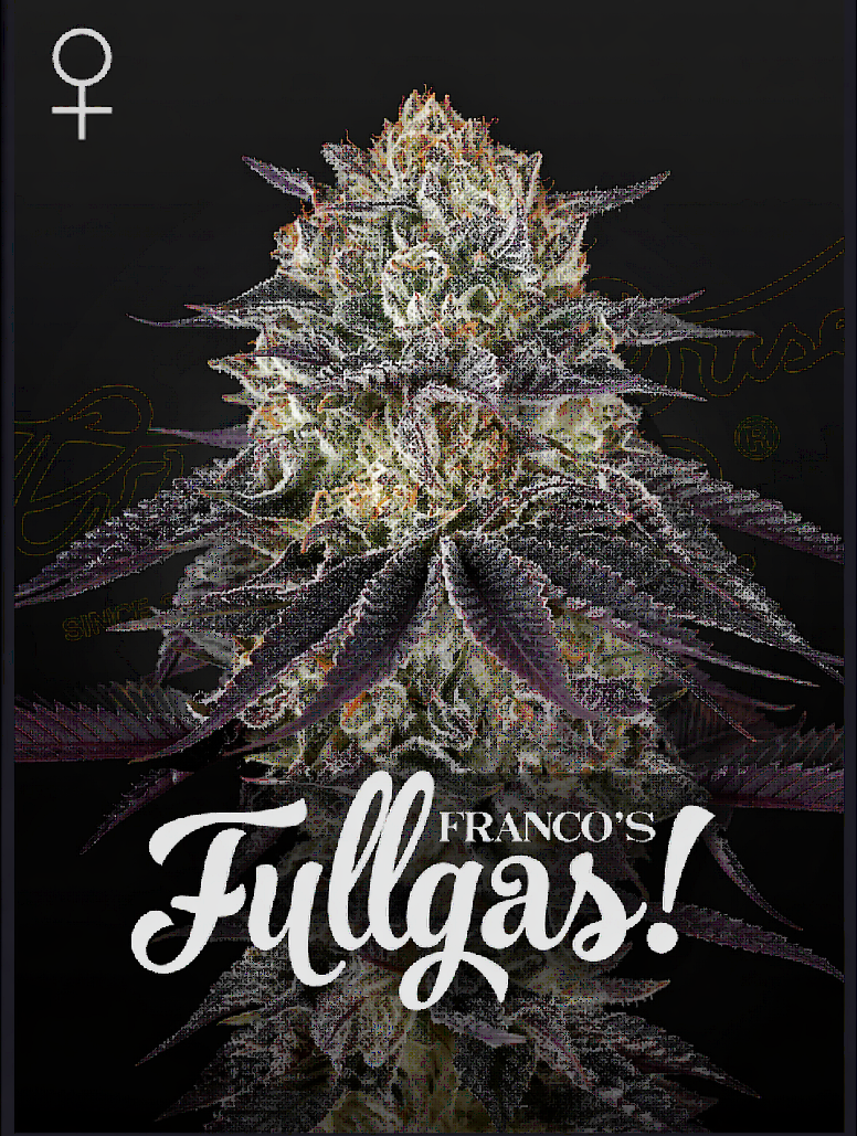 Franco's Fullgas Feminized – Greenhouse Seeds