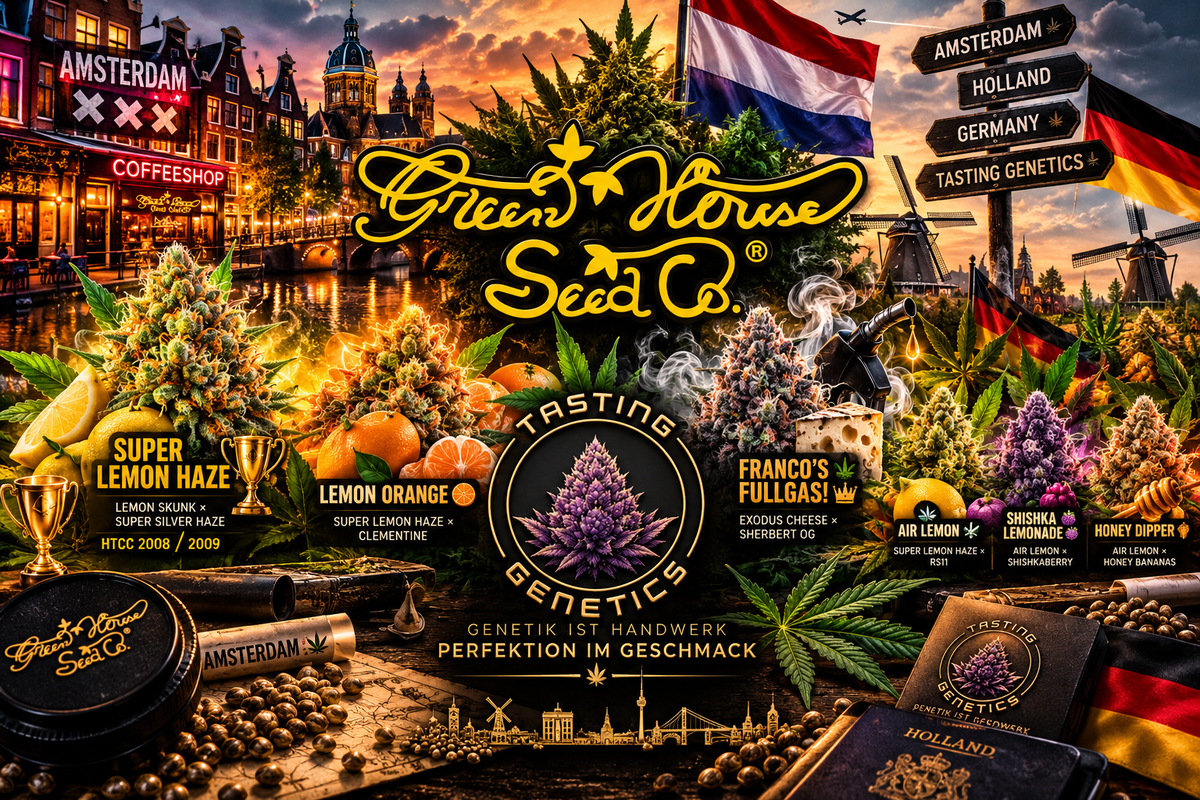 Green House Seed Company – Von Amsterdam in die Welt 🌱🏆