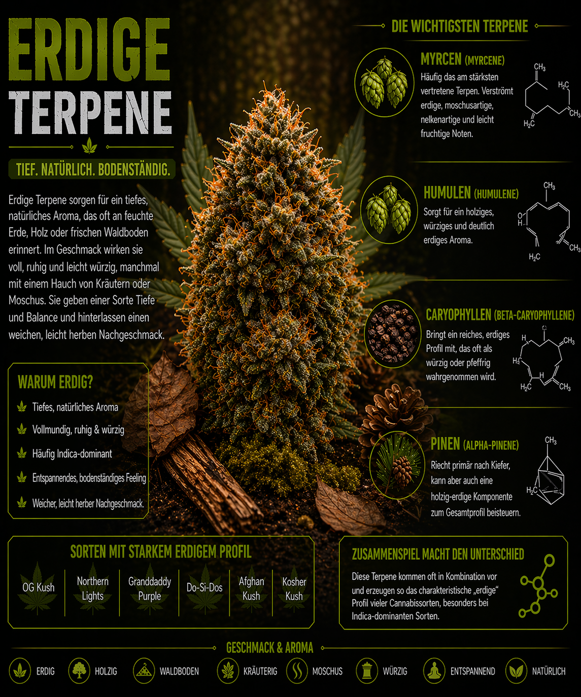Erdige/Wald Terpene