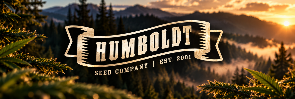 Humboldt Seed Company – Geschichte, Terpene & Genetik