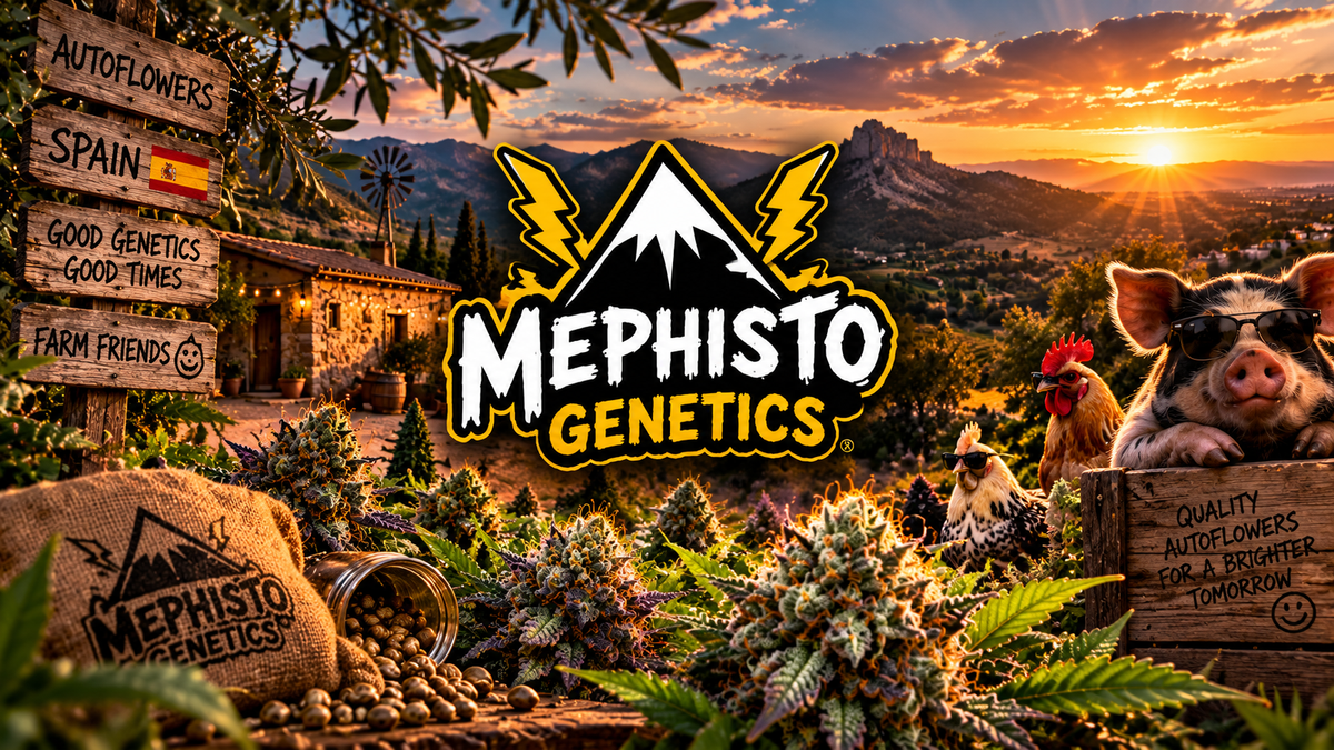 Mephisto Genetics – Die Geschichte hinter legendären Autoflowers