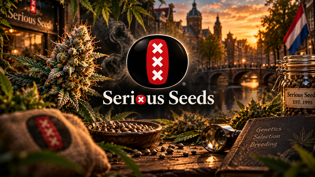 Serious Seeds – Geschichte, AK-47 & legendäre Genetiken