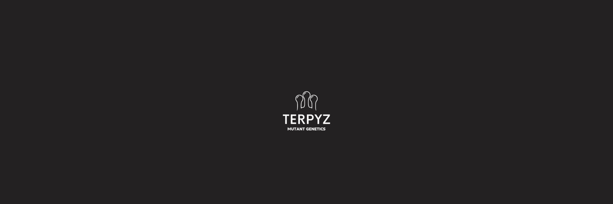 Terpyz