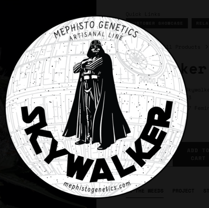 Skywalker Autoflowering  Seeds Mephisto Genetics