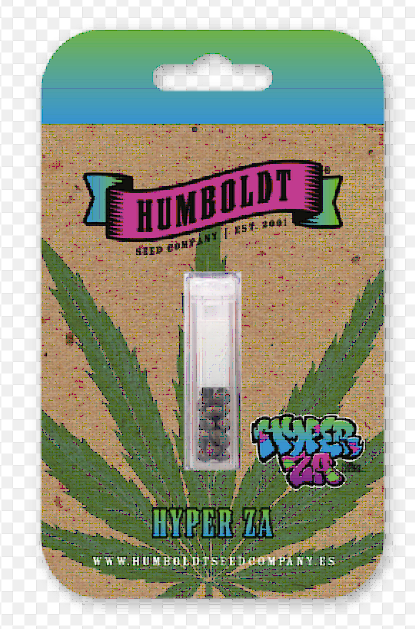 Hyper Za Feminized – Humboldt Seed Company