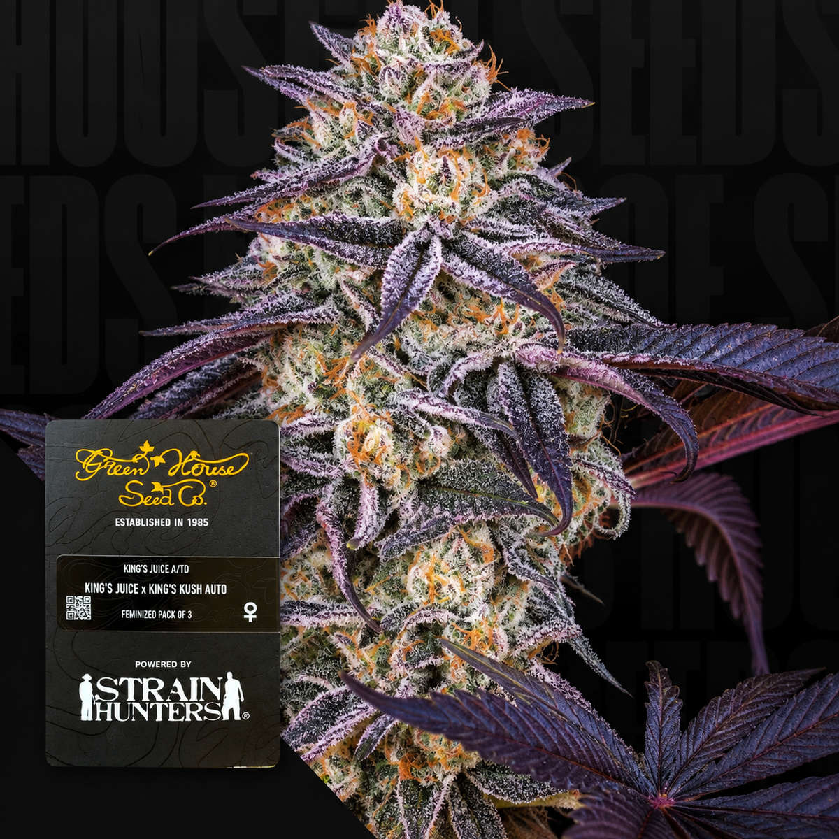 King’s Juice Feminized Greenhouse Seeds