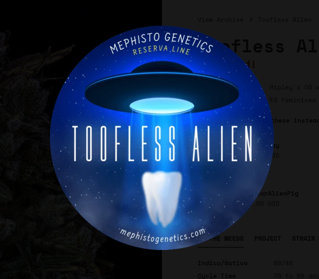 Toofless Alien Auto Mephisto Genetics