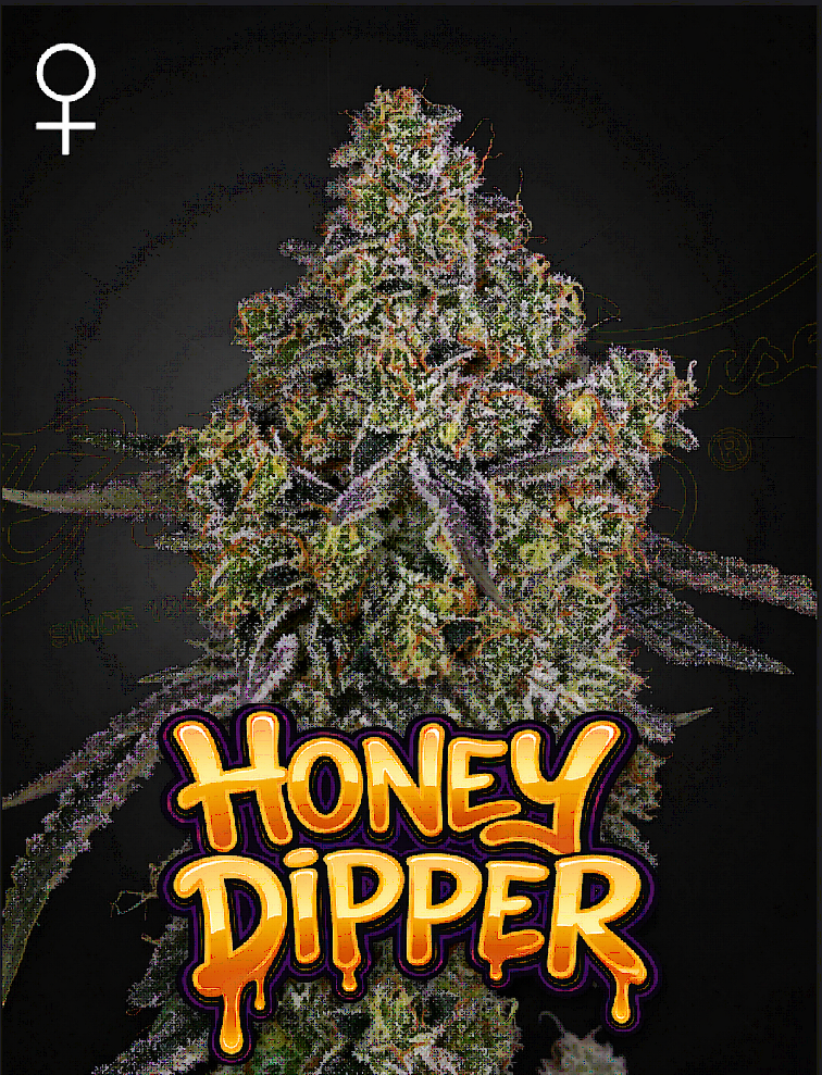 Honey Dipper Feminized – Greenhouse Seeds