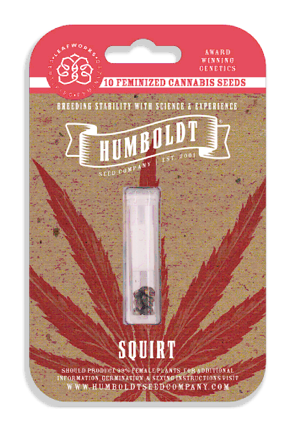 Squirt Feminized – Humboldt Seed Company